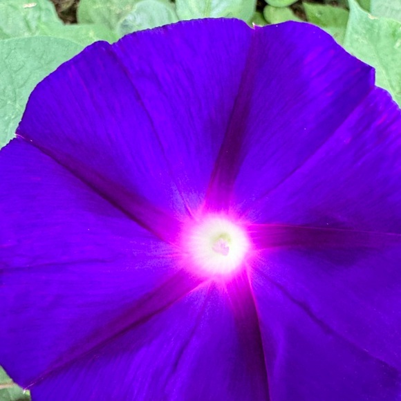 Thank you for shopping - Picture 5 of 5